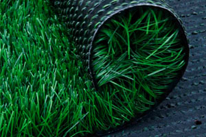 Artificial Grass